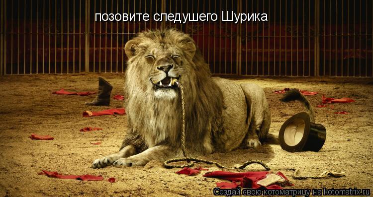 Котоматрица: позовите следушего Шурика