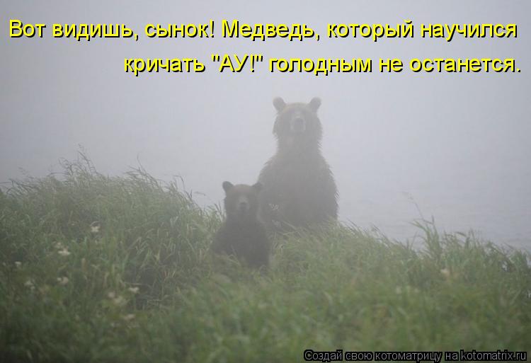 Вот видишь, сынок! Медведь, который научился кричать "АУ!" голодным не останется.... Котоматрица: Вот видишь, сынок! Медведь, который научился кричать "АУ!" голодным не останется.