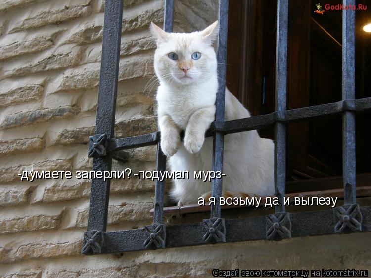 Котоматрица: -думаете заперли? -подумал мурз- а я возьму да и вылезу