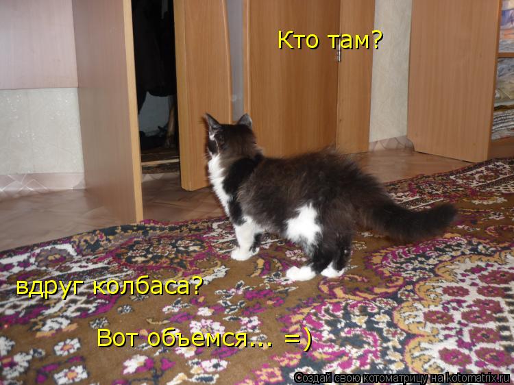 Кто там? вдруг колбаса? Вот объемся... =)... Котоматрица: Кто там? вдруг колбаса? Вот объемся... =)