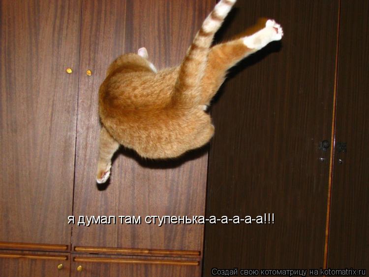 я думал там ступенька-а-а-а-а-а!!!... Котоматрица: я думал там ступенька-а-а-а-а-а!!!
