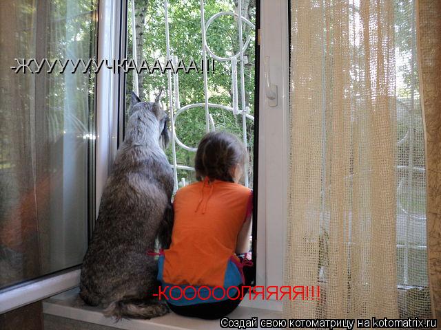 -ЖУУУУУУЧКАААААА!!! -КОООООЛЯЯЯЯ!!!... Котоматрица: -ЖУУУУУУЧКАААААА!!! -КОООООЛЯЯЯЯ!!!