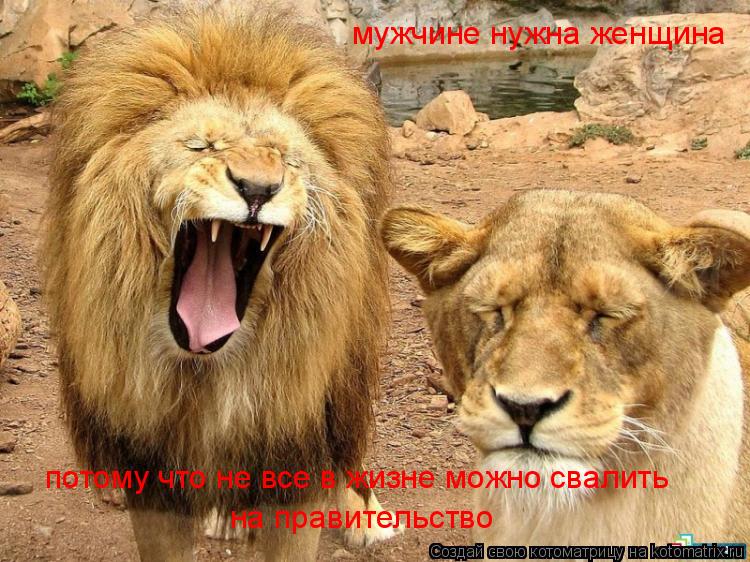 Котоматрица: мужчине нужна женщина потому что не все в жизне можно свалить на правительство