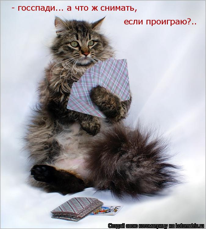 Котоматрица: - госспади... а что ж снимать, если проиграю?..