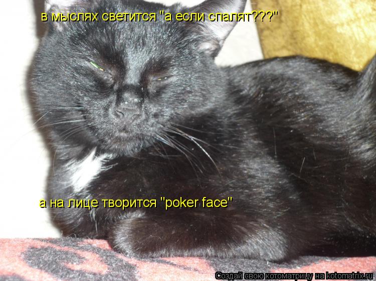 Котоматрица: в мыслях светится "а если спалят???" а на лице творится "poker face"