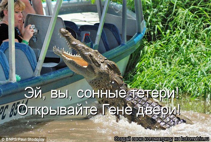 Котоматрица: Эй, вы, сонные тетери! Открывайте Гене двери!