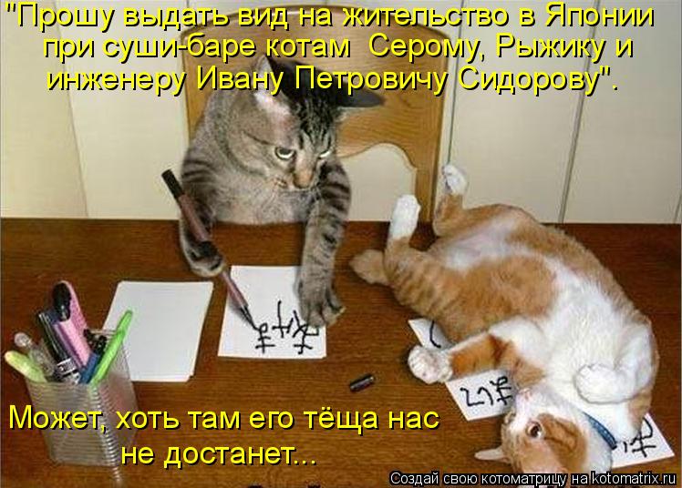 "Прошу выдать вид на жительство в Японии при суши-баре котам Серому, Рыжику и инженеру Ивану Петр... Котоматрица: "Прошу выдать вид на жительство в Японии при суши-баре котам Серому, Рыжику и инженеру Ивану Петровичу Сидорову". Может, хоть там его тёща