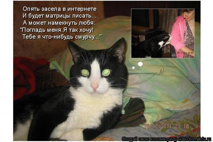 Опять засела в интернете И будет матрицы писать... А может намекнуть любя: Тебе я что-нибудь смурчу..... Котоматрица: Опять засела в интернете И будет матрицы писать... А может намекнуть любя: Тебе я что-нибудь смурчу..." "Погладь меня.Я так хочу!