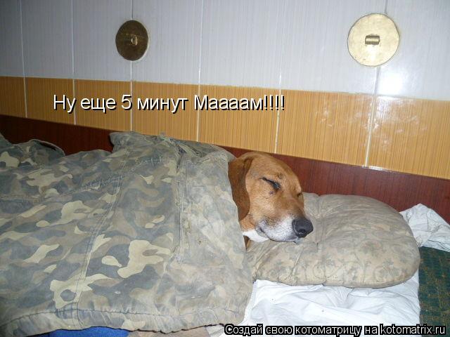 Ну еще 5 минут Маааам!!!!... Котоматрица: Ну еще 5 минут Маааам!!!!