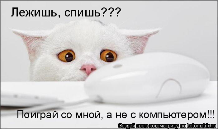 Лежишь, спишь??? Поиграй со мной, а не с компьютером!!!... Котоматрица: Лежишь, спишь??? Поиграй со мной, а не с компьютером!!!