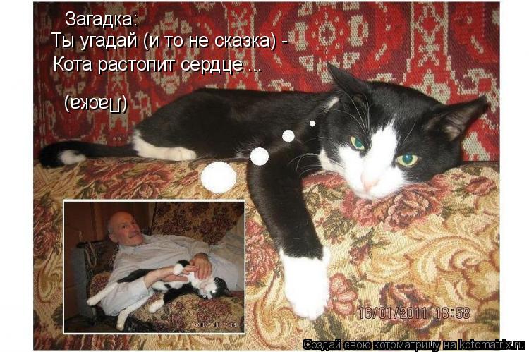 Загадка: Ты угадай (и то не сказка) - Кота растопит сердце ... (Ласка)... Котоматрица: Загадка: Ты угадай (и то не сказка) - Кота растопит сердце ... (Ласка)