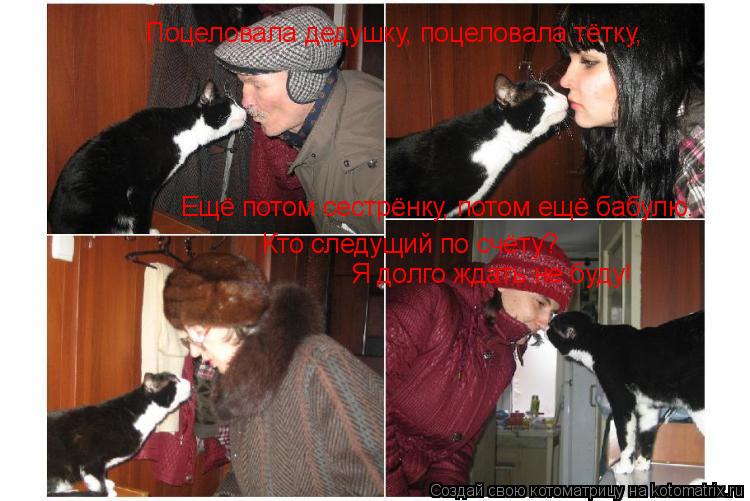 Поцеловала дедушку, поцеловала тётку, Я долго ждать не буду! Ещё потом сестрёнку, потом ещё бабулю. ... Котоматрица: Поцеловала дедушку, поцеловала тётку, Я долго ждать не буду! Ещё потом сестрёнку, потом ещё бабулю. Кто следущий по счёту?