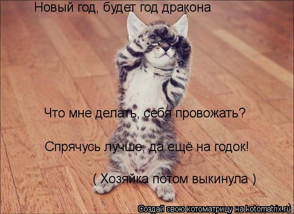 Новый год, будет год дракона Что мне делать, себя провожать? Спрячусь лучше, да ещё на годок! ( Хозяй... Котоматрица: Новый год, будет год дракона Что мне делать, себя провожать? Спрячусь лучше, да ещё на годок! ( Хозяйка потом выкинула )