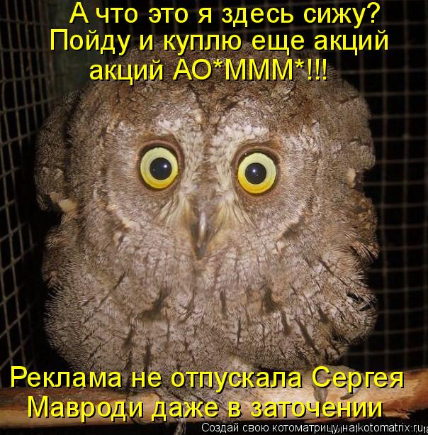 А что это я здесь сижу? Пойду и куплю еще акций акций АО*МММ*!!! Реклама не отпускала Сергея Маврод... Котоматрица: А что это я здесь сижу? Пойду и куплю еще акций акций АО*МММ*!!! Реклама не отпускала Сергея Мавроди даже в заточении