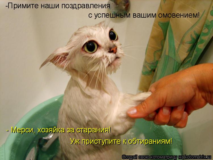 -Примите наши поздравления с успешным вашим омовением! - Мерси, хозяйка за старания! Уж приступите к ... Котоматрица: -Примите наши поздравления с успешным вашим омовением! - Мерси, хозяйка за старания! Уж приступите к обтираниям!
