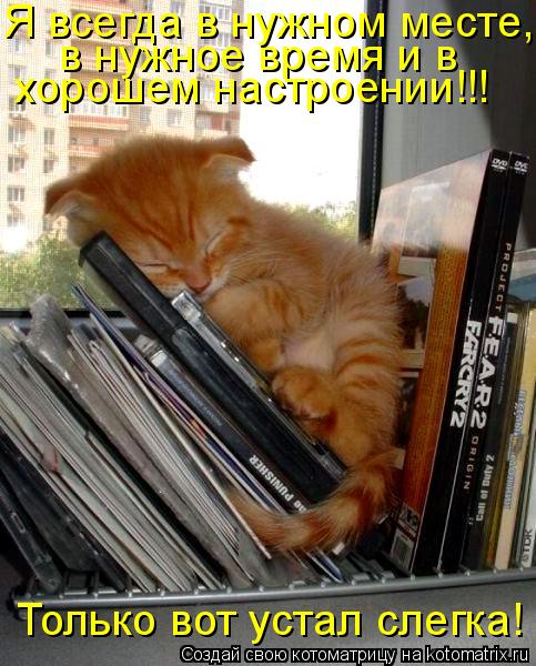 в нужное время и в Только вот устал слегка! Я всегда в нужном месте, хорошем настроении!!!... Котоматрица: в нужное время и в Только вот устал слегка! Я всегда в нужном месте, хорошем настроении!!!