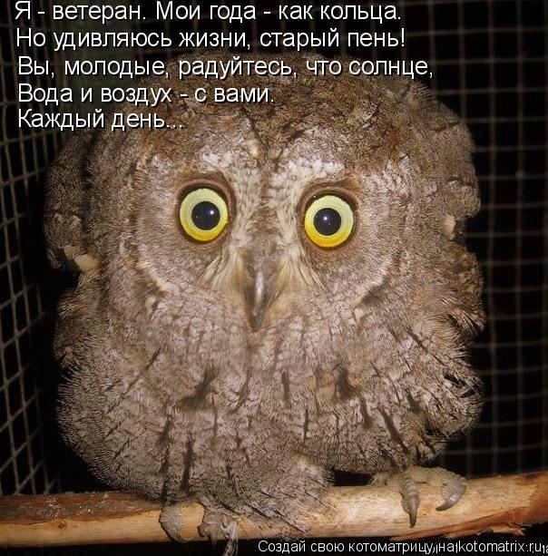 Вы, молодые, радуйтесь, что солнце, Вода и воздух - с вами. Каждый день... Но удивляюсь жизни, стары... Котоматрица: Вы, молодые, радуйтесь, что солнце, Вода и воздух - с вами. Каждый день... Но удивляюсь жизни, старый пень! Я - ветеран. Мои года - как кольца.