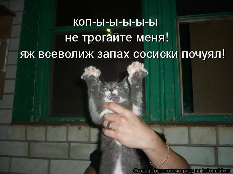 коп-ы-ы-ы-ы-ы не трогайте меня! яж всеволиж запах сосиски почуял!... Котоматрица: коп-ы-ы-ы-ы-ы не трогайте меня! яж всеволиж запах сосиски почуял!