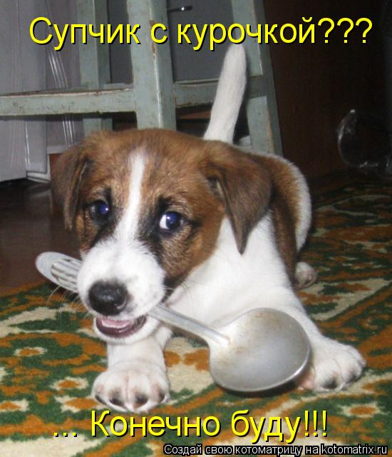 Супчик с курочкой??? ... Конечно буду!!!... Котоматрица: Супчик с курочкой??? ... Конечно буду!!!