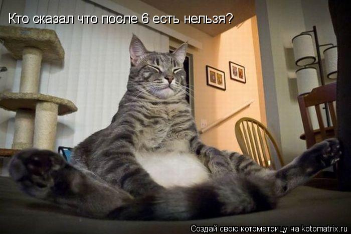 Кто сказал что после 6 есть нельзя?... Котоматрица: Кто сказал что после 6 есть нельзя?