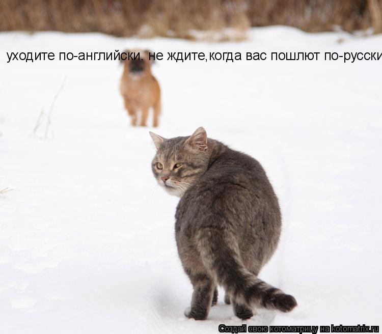 уходите по-английски. не ждите,когда вас пошлют по-русски... Котоматрица: уходите по-английски. не ждите,когда вас пошлют по-русски