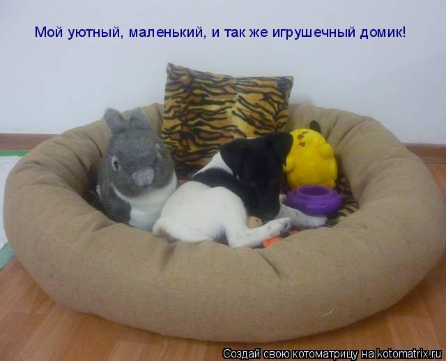 Мой уютный, маленький, и так же игрушечный домик!... Котоматрица: Мой уютный, маленький, и так же игрушечный домик!