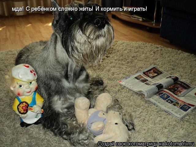 мда! С ребёнком сложно жить! И кормить и играть!... Котоматрица: мда! С ребёнком сложно жить! И кормить и играть!