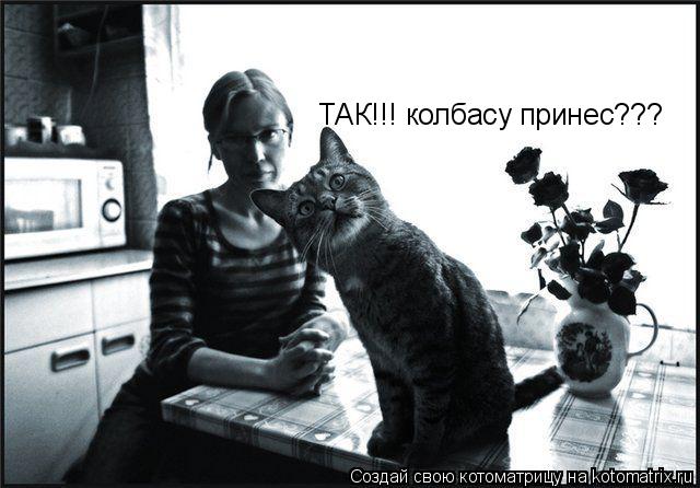 ТАК!!! колбасу принес???... Котоматрица: ТАК!!! колбасу принес???