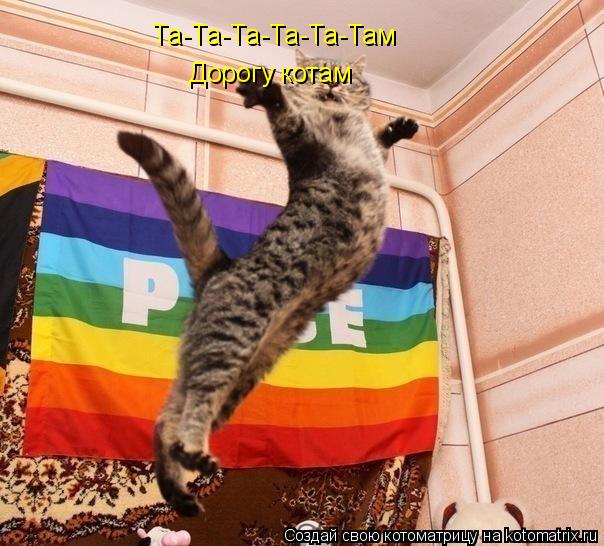 Та-Та-Та-Та-Та-Там Дорогу котам... Котоматрица: Та-Та-Та-Та-Та-Там Дорогу котам
