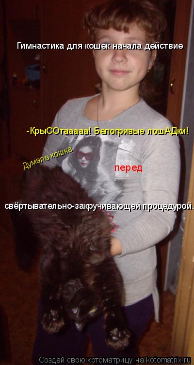 Гимнастика для кошек начала действие -КрыСОтааааа! Белогривые лошАДки! Думала кошка перед свёртыват... Котоматрица: Гимнастика для кошек начала действие -КрыСОтааааа! Белогривые лошАДки! Думала кошка перед свёртывательно-закручивающей процедурой.