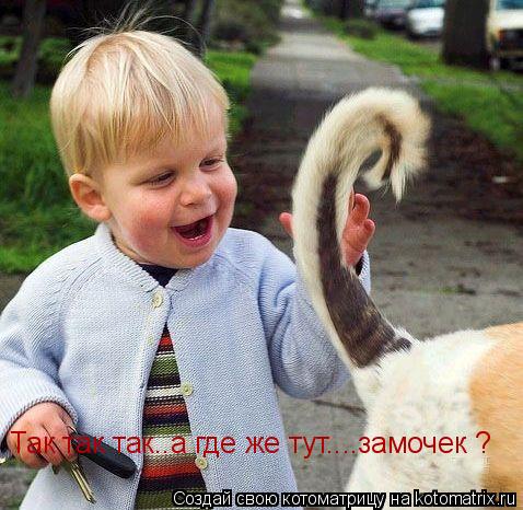 Так так так..а где же тут....замочек ?... Котоматрица: Так так так..а где же тут....замочек ?