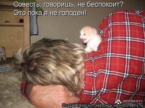 Совесть, говоришь, не беспокоит? Это пока я не голоден!... Котоматрица: Совесть, говоришь, не беспокоит? Это пока я не голоден!