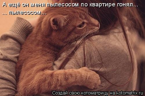 А ещё он меня пылесосом по квартире гонял... ... пылесосом...... Котоматрица: А ещё он меня пылесосом по квартире гонял... ... пылесосом...