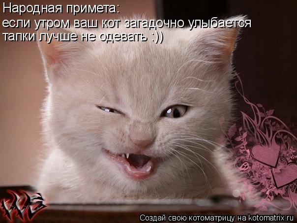 Народная примета: если утром ваш кот загадочно улыбается тапки лучше не одевать :))... Котоматрица: Народная примета: если утром ваш кот загадочно улыбается тапки лучше не одевать :))