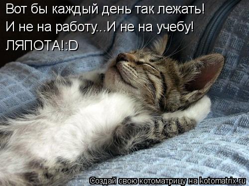 Котоматрица: Вот бы каждый день так лежать!  И не на работу...И не на учебу!  ЛЯПОТА!:D