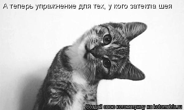 А теперь упражнение для тех, у кого затекла шея... Котоматрица: А теперь упражнение для тех, у кого затекла шея