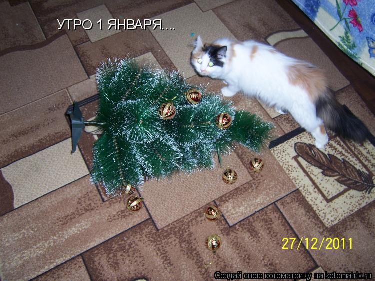 Котоматрица: УТРО 1 ЯНВАРЯ....