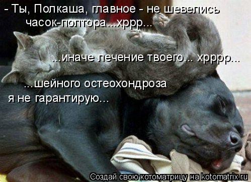 Котоматрица: - Ты, Полкаша, главное - не шевелись  часок-полтора...хррр... ...иначе лечение твоего... хрррр...  ...шейного остеохондроза я не гарантирую...