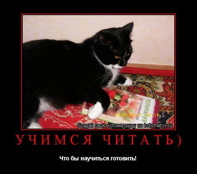 Котоматрица: Учимся читать) Что бы научиться готовить!
