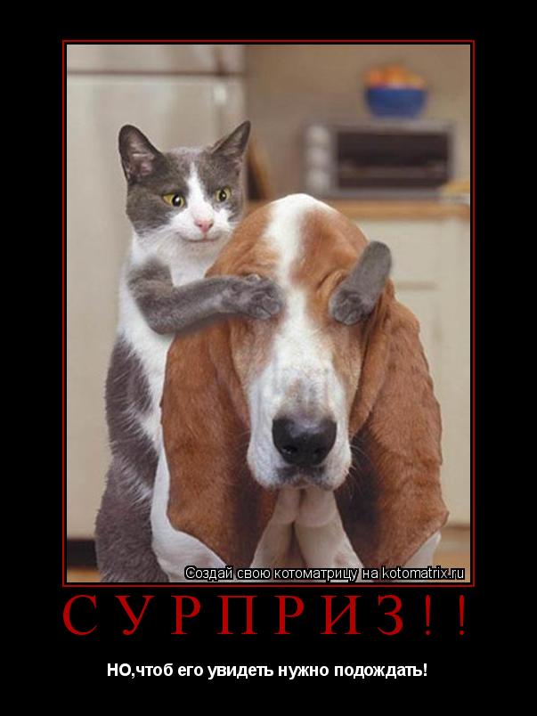 СУРПРИЗ!! НО,чтоб его увидеть нужно подождать!... Котоматрица: СУРПРИЗ!! НО,чтоб его увидеть нужно подождать!