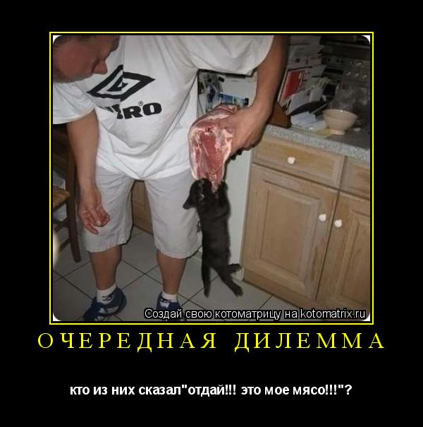 очередная дилемма кто из них сказал"отдай!!! это мое мясо!!!"?... Котоматрица: очередная дилемма кто из них сказал"отдай!!! это мое мясо!!!"?