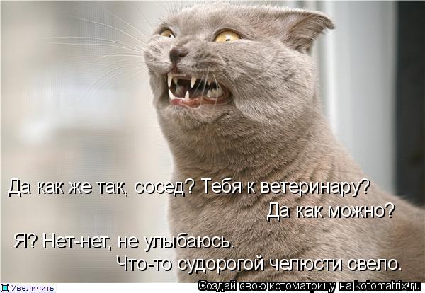 Да как же так, сосед? Тебя к ветеринару? Да как можно? Я? Нет-нет, не улыбаюсь. Что-то судорогой челю... Котоматрица: Да как же так, сосед? Тебя к ветеринару? Да как можно? Я? Нет-нет, не улыбаюсь. Что-то судорогой челюсти свело.
