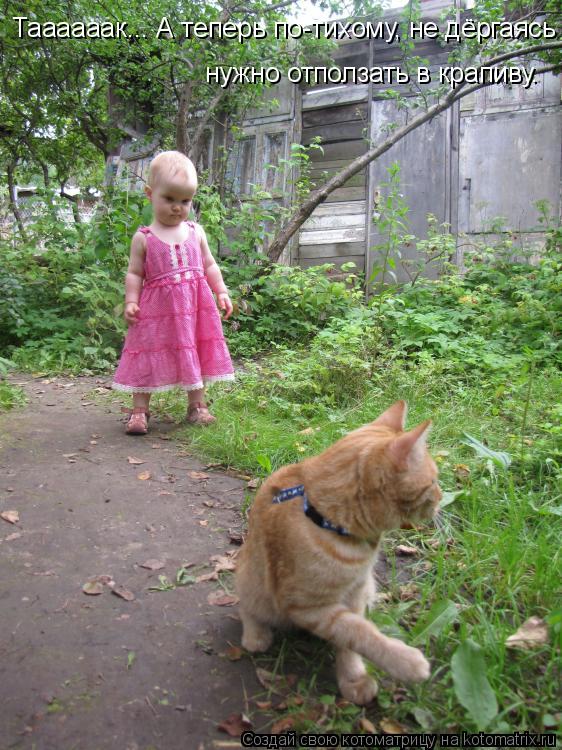 Таааааак... А теперь по-тихому, не дёргаясь нужно отползать в крапиву.... Котоматрица: Таааааак... А теперь по-тихому, не дёргаясь нужно отползать в крапиву.