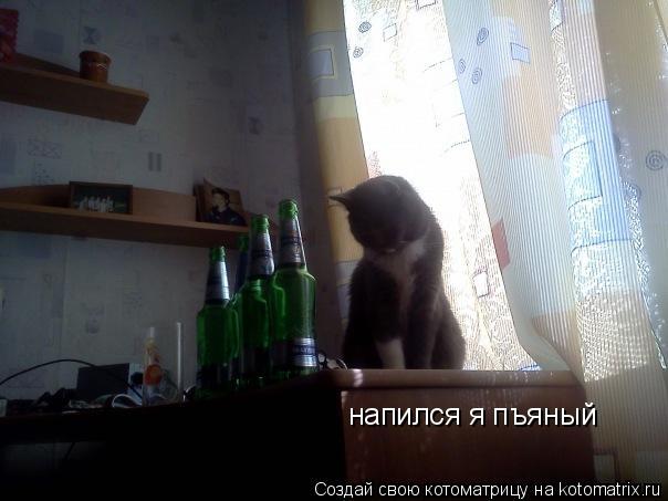 напился я пъяный... Котоматрица: напился я пъяный