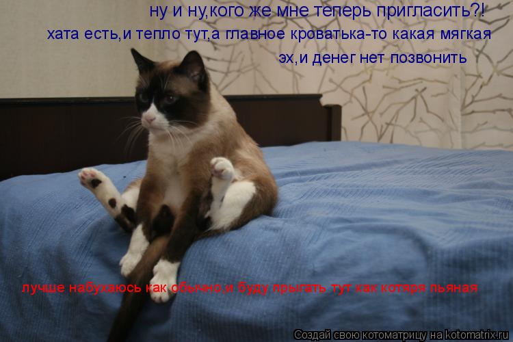 Котоматрица: ну и ну,кого же мне теперь пригласить?! хата есть,и тепло тут,а главное кроватька-то какая мягкая эх,и денег нет позвонить лучше набухаюсь ка