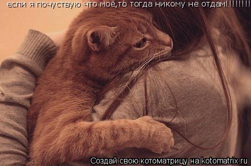 если я почуствую что моё,то тогда никому не отдам!!!!!!!!... Котоматрица: если я почуствую что моё,то тогда никому не отдам!!!!!!!!