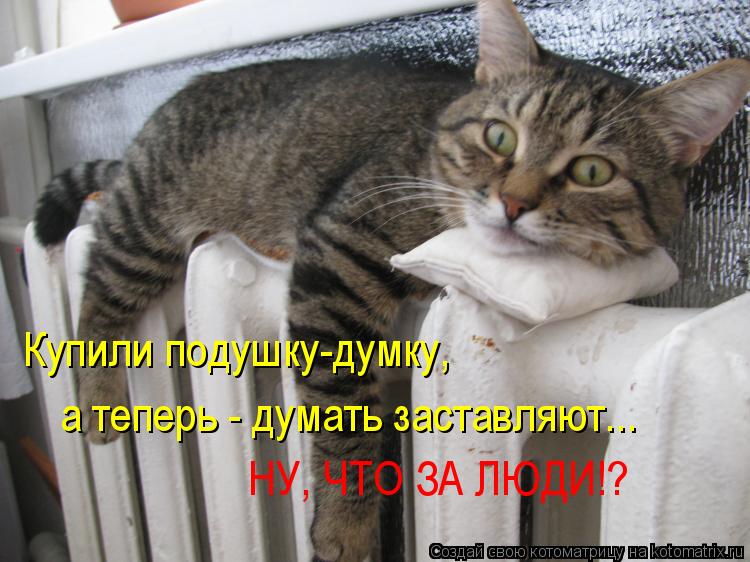 Купили подушку-думку, а теперь - думать заставляют... НУ, ЧТО ЗА ЛЮДИ!?... Котоматрица: Купили подушку-думку, а теперь - думать заставляют... НУ, ЧТО ЗА ЛЮДИ!?