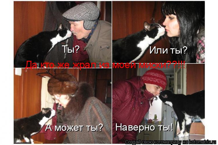 Котоматрица: Ты? Или ты? А может ты? Да кто же жрал из моей миски??!!! Наверно ты!