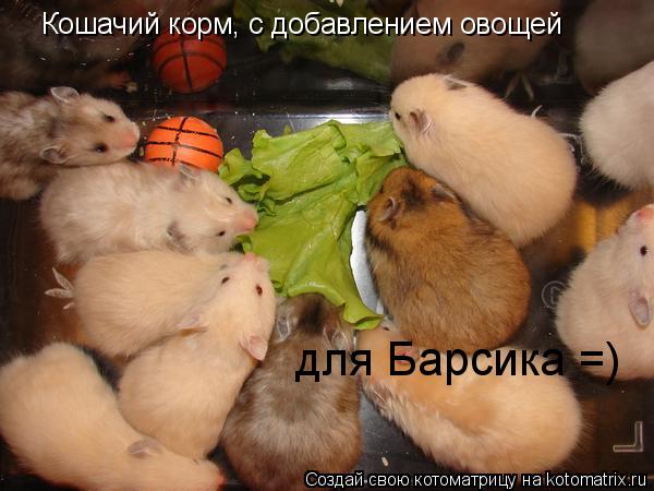 Котоматрица: Кошачий корм, с добавлением овощей для Барсика =)