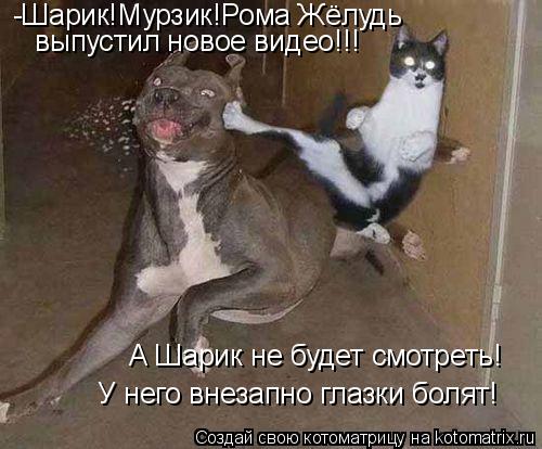 -Шарик!Мурзик!Рома Жёлудь выпустил новое видео!!! А Шарик не будет смотреть! У него внезапно глазки ... Котоматрица: -Шарик!Мурзик!Рома Жёлудь выпустил новое видео!!! А Шарик не будет смотреть! У него внезапно глазки болят!